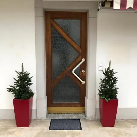 Apartamento Belinda, Tiengen Zentrum Waldshut-Tiengen